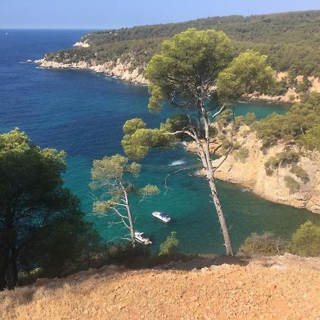 Sanary Sur Mer Appartement 30M2 T2 Avec Terrasse Piscine 10Min A Pied De La Plage エクステリア 写真