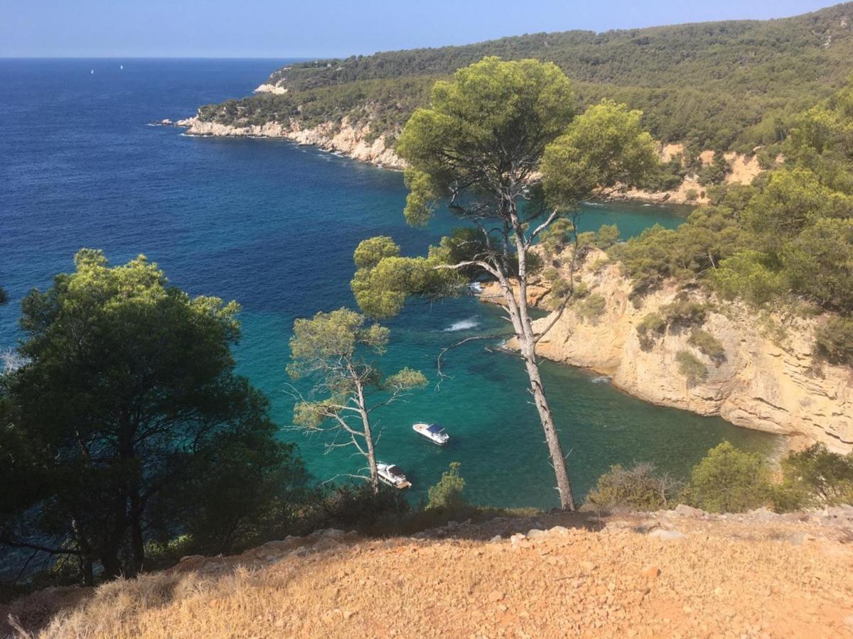 Sanary Sur Mer Appartement 30M2 T2 Avec Terrasse Piscine 10Min A Pied De La Plage エクステリア 写真