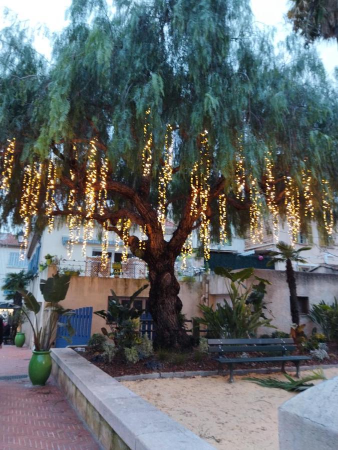 Sanary Sur Mer Appartement 30M2 T2 Avec Terrasse Piscine 10Min A Pied De La Plage エクステリア 写真